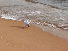 -兴城海滨风景区