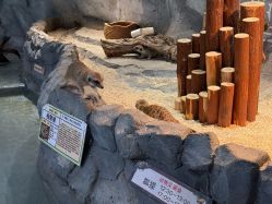 -Zoolung Zoolung动物主题公园(海信广场店)