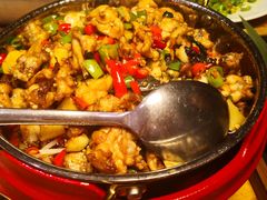 湘西霸王蛙-望湘园·湖南菜(宏伊店)