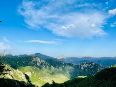 -大岭沟猕猴桃谷风景区