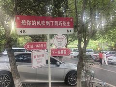 -阿巧茶庄