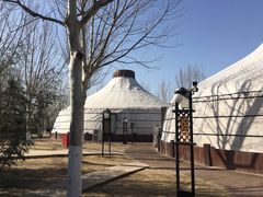 -九十九顶毡房(阜石路店)