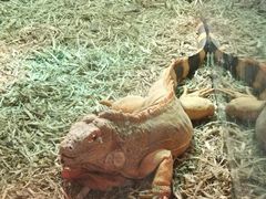 -海合安武汉极地海洋公园