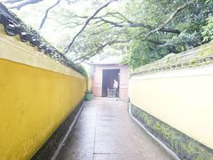 -普陀山风景区-佛顶山