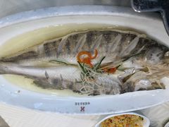 清蒸雪龙鱼-怡园饭店-餐厅(四望亭店)