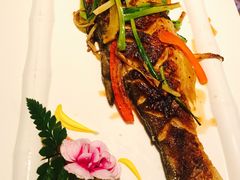 -羽山料理