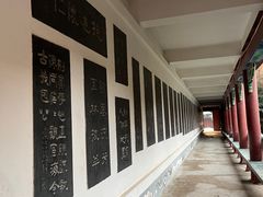 -翰园碑林