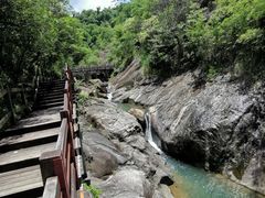 -广州白江湖森林公园