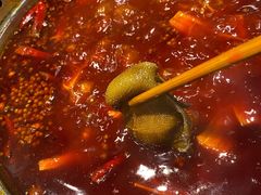 -小王少龙火锅(沙南街店)