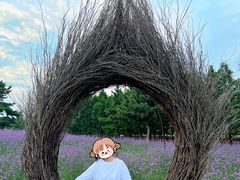 -羊亭河湿地公园