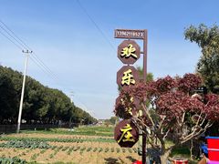 -欢乐蟹庄·精品农家乐(阳澄湖莲花岛店)