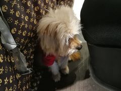 -汪一挑馄饨(老街店)