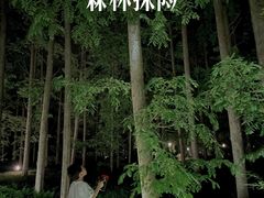 -黄海国家森林公园