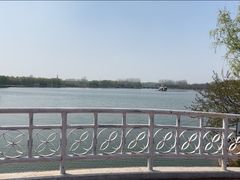 -大兴滨河森林公园
