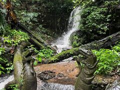-莫里热带雨林景区