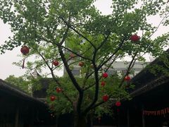 -鄞州雪菜博物馆