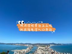 -广东惠东海龟国家级自然保护区