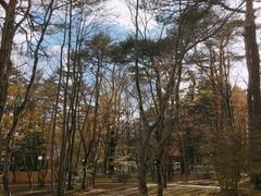 景点-轻井泽高原教堂
