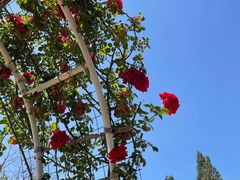 -名花谷生态庄园