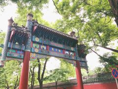 -北京国子监胡同