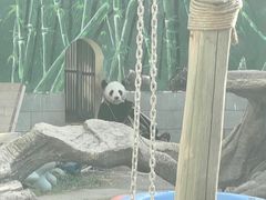 -南昌动物园