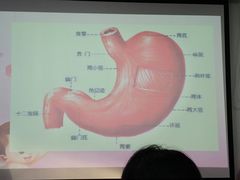 -爱月宝月嫂·育儿嫂(哈尔滨总店)