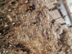 -天津东丽湖风景区