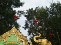 -西双版纳傣族园