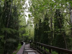 -龙门崮风景区