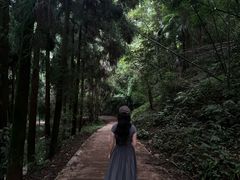 -峨眉山报国寺