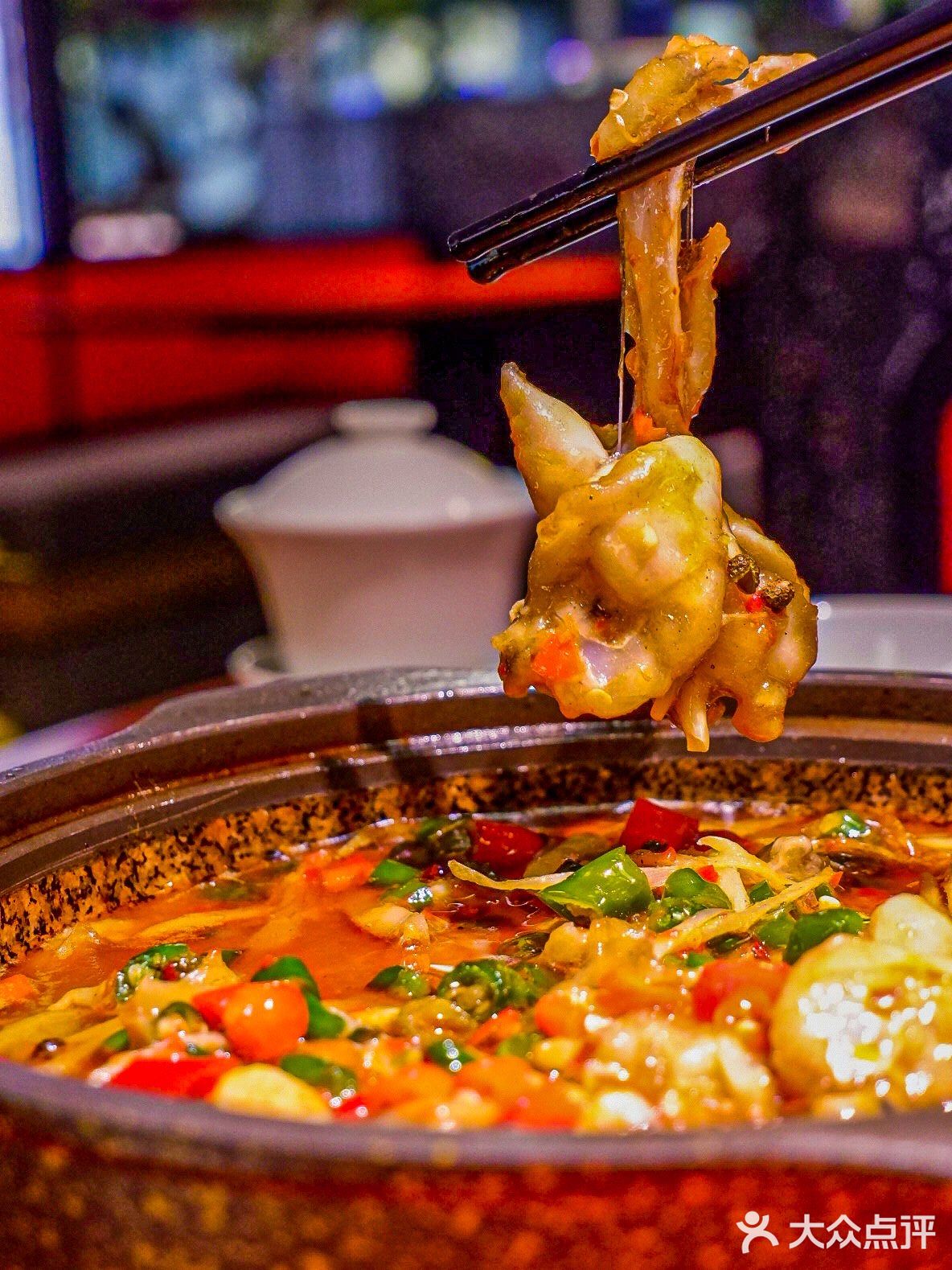 海上世界也有渝月了‼️我的快乐回来了‼️