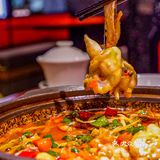 海上世界也有渝月了‼️我的快乐回来了‼️