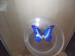 -陕西自然博物馆