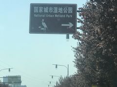 -昆山城市生态森林公园