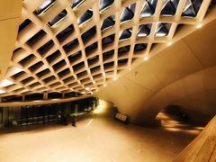 -哈尔滨大剧院