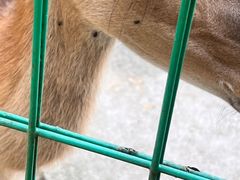 -武陵山森林公园