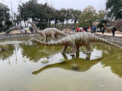 -自贡恐龙博物馆