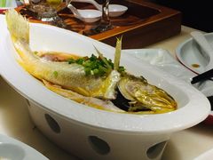 酒蒸葱香鲜黄花鱼-京华烟云·北京烤鸭(领展购物广场·中关村店)