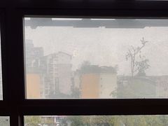 -南山渔美蛙鱼·老鸭汤·火锅(成都大邑店)