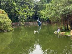 -深圳野生动物园