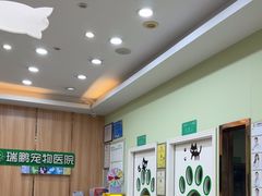 -瑞鹏宠物医院·夜间急症·心超·猫科(祖庙分店)