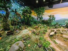 -陕西自然博物馆