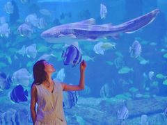 -石林冰雪海洋世界