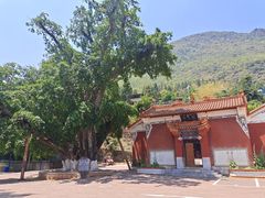 -抚仙湖禄充风景区