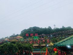 -枇杷园食为鲜火锅(南山店)