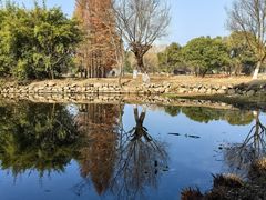 -尚湖风景区