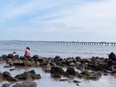 -南汇新城海滩