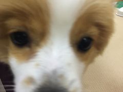 -惠康宠物医院(华能路店)