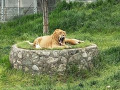 -西安秦岭野生动物园