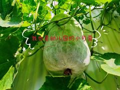 -吉而慧幼儿园-原红黄蓝幼儿园(世华水岸园)